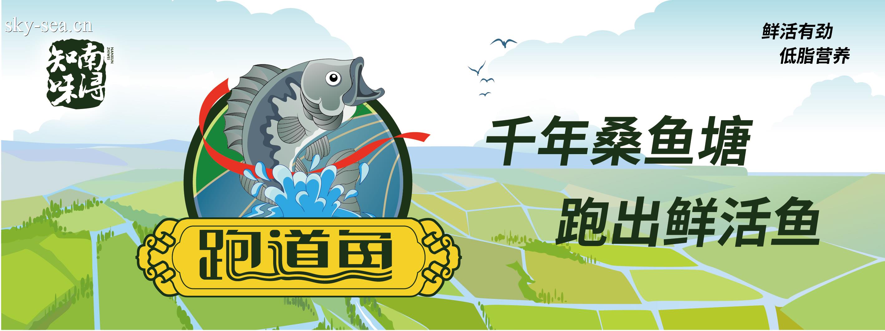 跑道鱼包装00-07.jpg